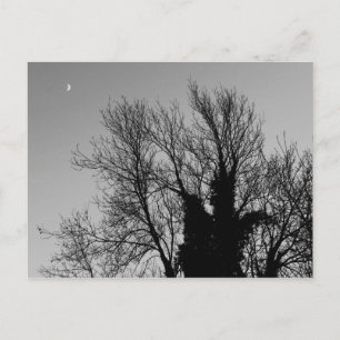 Medieval Winter Afternoon Postcard