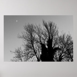 Medieval Winter Afternoon Poster