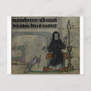 Medieval woman spinning with cat postcard
