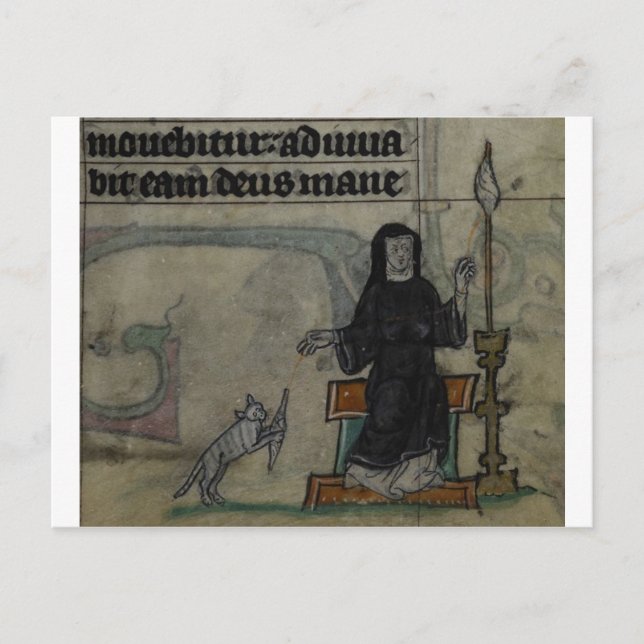 Medieval woman spinning with cat postcard (Front)