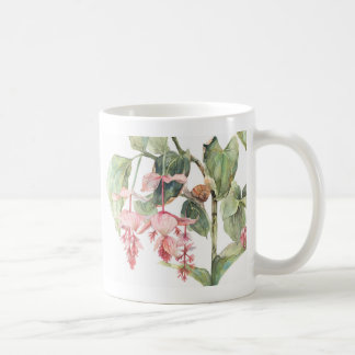 Medinilla Botanical Art Illustration Coffee Mug