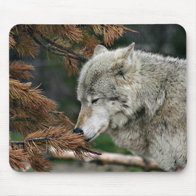 Meditating wolf mouse pad (Front)