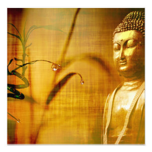 Meditation and bamboo   photo print