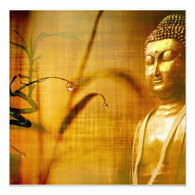 Meditation and bamboo   photo print (Front)