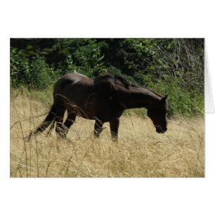 Méditation de Darma