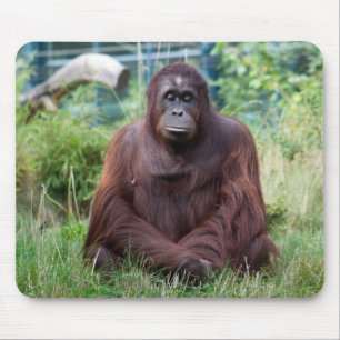 Meditation Mouse Pad