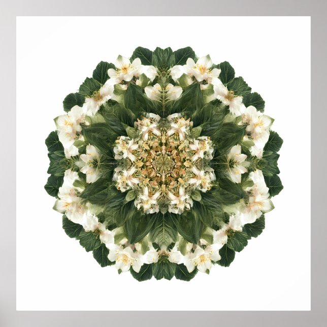 Meditative Sacred Geometry: Fractal Flora Poster (Front)