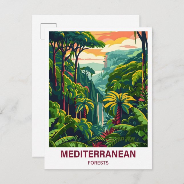 Mediterranean Forest Illustration Travel Postcard (Front/Back)