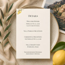 Mediterranean Italian Coastal Luxury Wedding