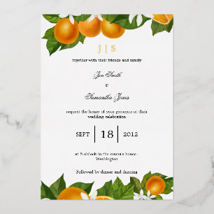 Mediterranean Italian oranges gold