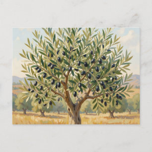 Mediterranean Olive Tree Landscape  Postcard