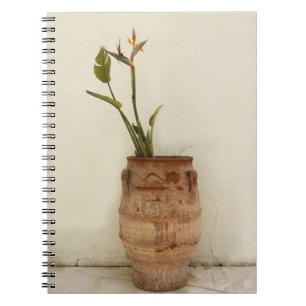 Mediterranean Plant Notebook