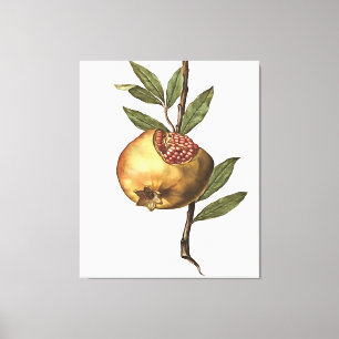 Mediterranean Pomegranate Fruit And Seeds Canvas Print