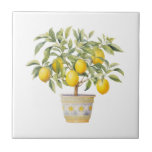 Mediterranean Tuscan Lemon Tree Tile<br><div class="desc">Mediterranean design Tuscan style lemon tree in pot ceramic tile.</div>
