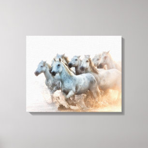 Mediterranean Water at Sunrise Canvas Print