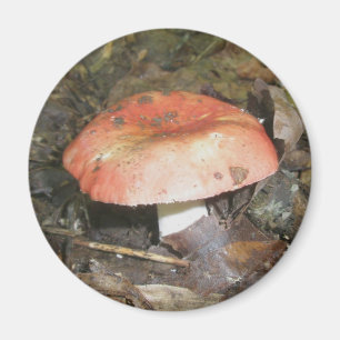 Medium Red Mushroom Magnet