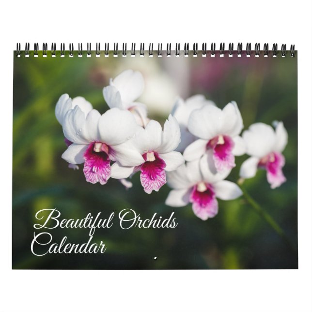 Medium Size Orchids Calendar (Cover)