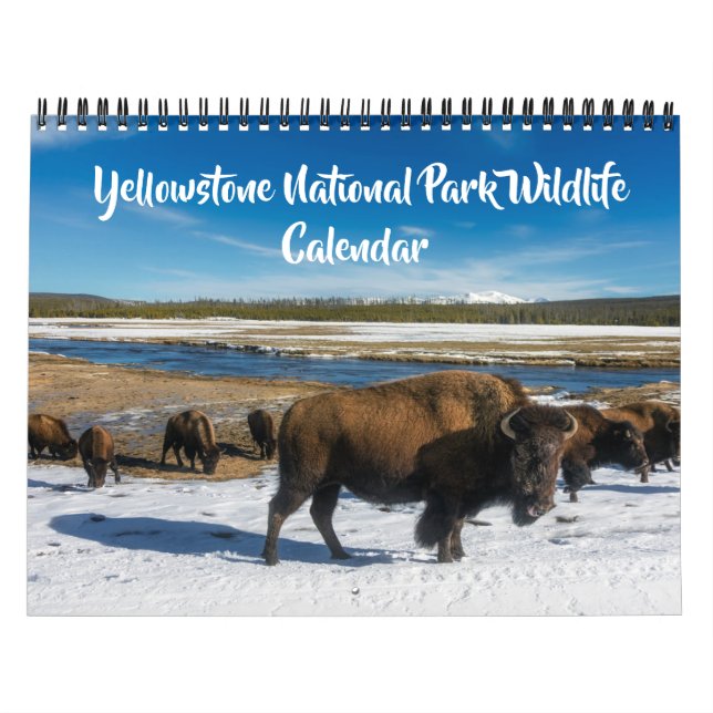 Medium Size Yellowstone Calendar-Wildlife Calendar (Cover)
