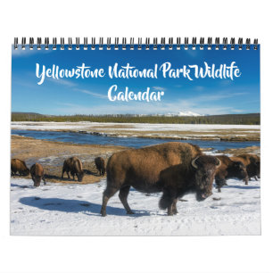 Medium Size Yellowstone Calendar-Wildlife Calendar
