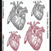 Medium & Small Labelled Vintage Anatomical Hearts