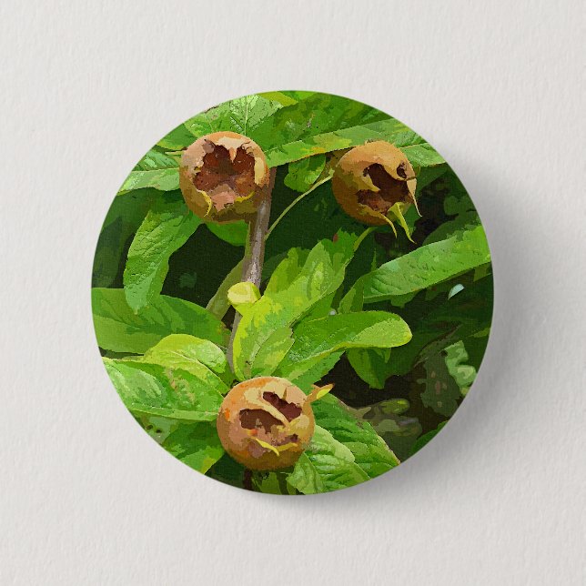 MEDLAR FRUIT 2 INCH ROUND BUTTON (Front)