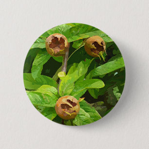 MEDLAR FRUIT 2 INCH ROUND BUTTON