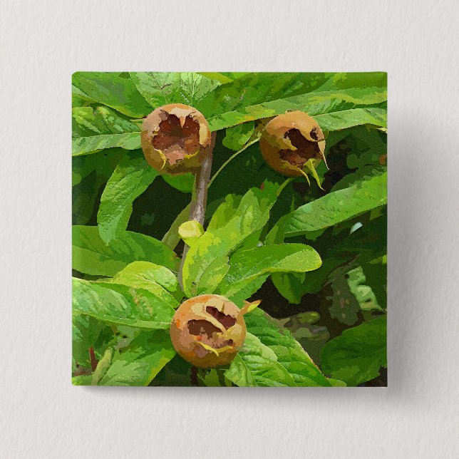MEDLAR FRUIT 2 INCH SQUARE BUTTON (Front)