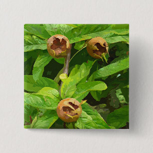 MEDLAR FRUIT 2 INCH SQUARE BUTTON