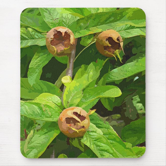 MEDLAR FRUIT MOUSE PAD (Front)