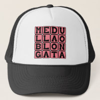 Medulla Oblongata, Lower Brain Stem
