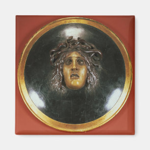 Medusa shield magnet