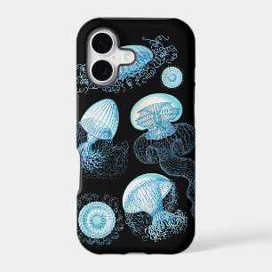 Méduse de Haeckel
