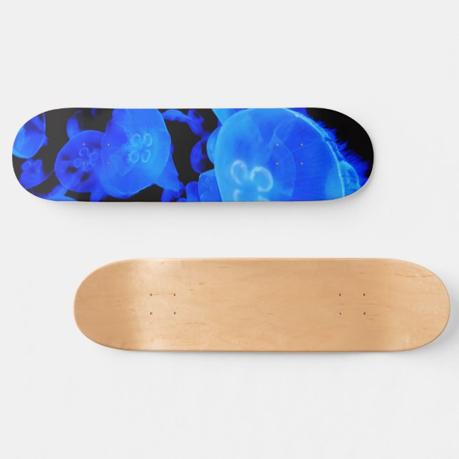 meduse skateboard (Horz)