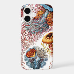 Méduse vintage par Ernst Haeckel, Discomedusae