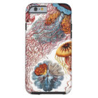 Méduse vintage par Ernst Haeckel, Discomedusae