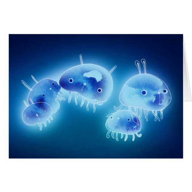 Méduses 2013 (Devant horizontal)