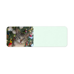 Meece Cat Merry Christmas Return Address Labels