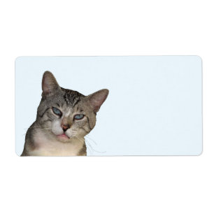 Meece The Cat Shipping Labels