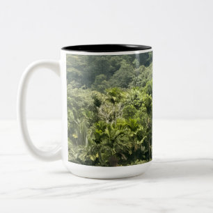 Meemure Rainforest Sri Lanka Coffee Mug - Knuckles