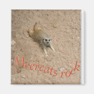 Meercats rock ! magnet