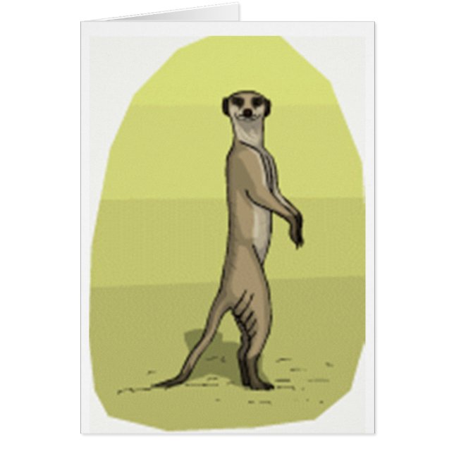 MEERKAT (Front)
