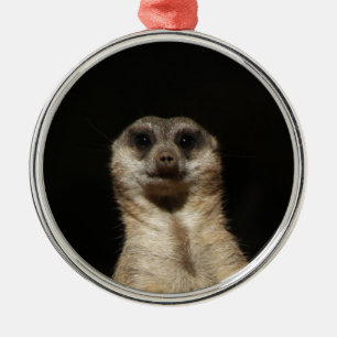Meerkat20151010 Metal Ornament