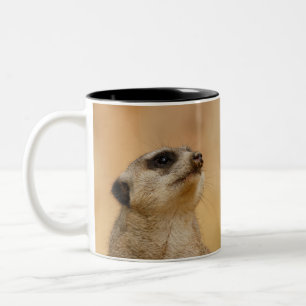 Meerkat_001_by_JAMFoto Two-Tone Coffee Mug