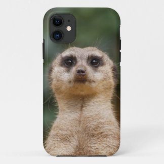 Meerkat 001 iPhone 11 case