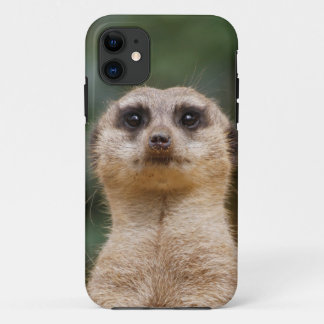 Meerkat 001 iPhone 11 case