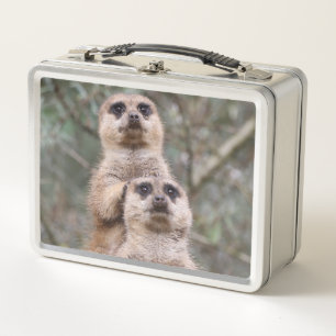Meerkat_002_by_JAMFoto Metal Lunch Box
