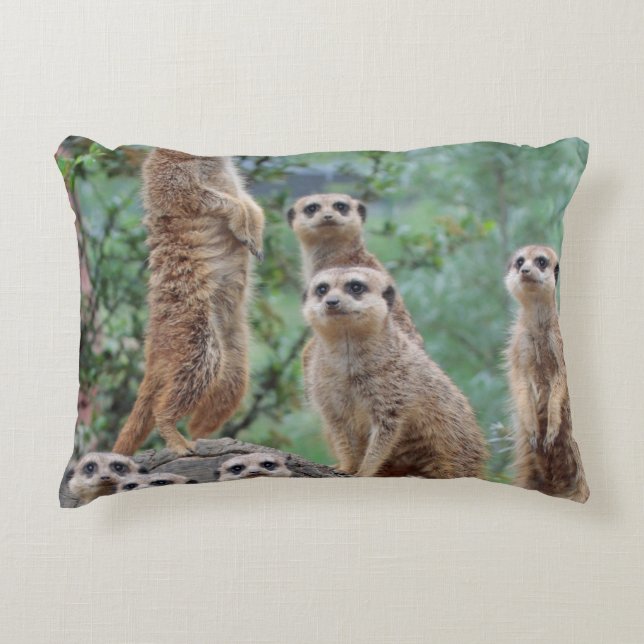 Meerkat_003 Accent Pillow (Front)