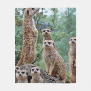 Meerkat_003 Fleece Blanket