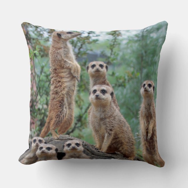 Meerkat_003 Throw Pillow (Front)