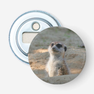 Meerkat 004 bottle opener